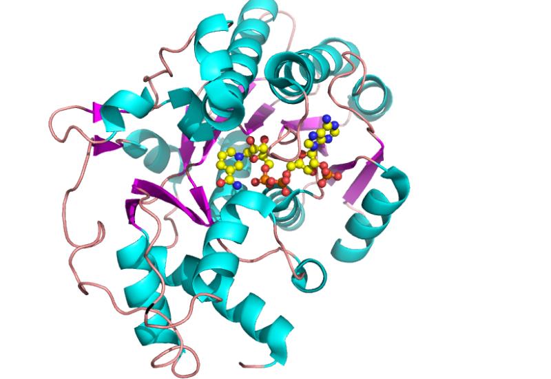 如何轻松制作个性化表情包的详细指南
