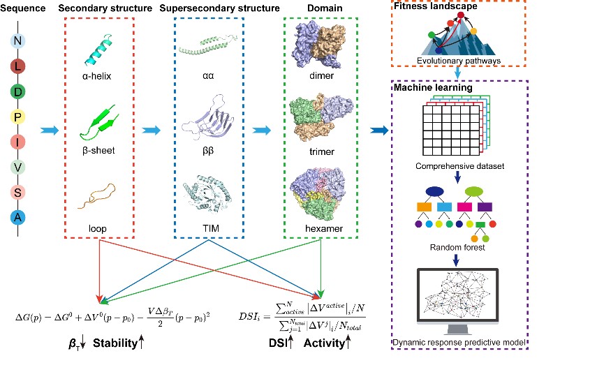 创新驱动技术开发产业引领生物质能发展