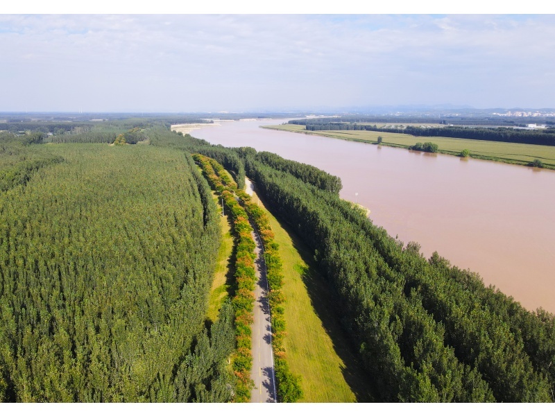 山东黄河河务局门户网站