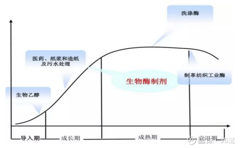 2026-2030年中国工业酶和菌株市场竞争格局与高价值赛道分析