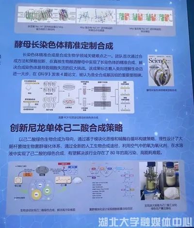 生物制造产业提速推动新型工业化向“绿”而行